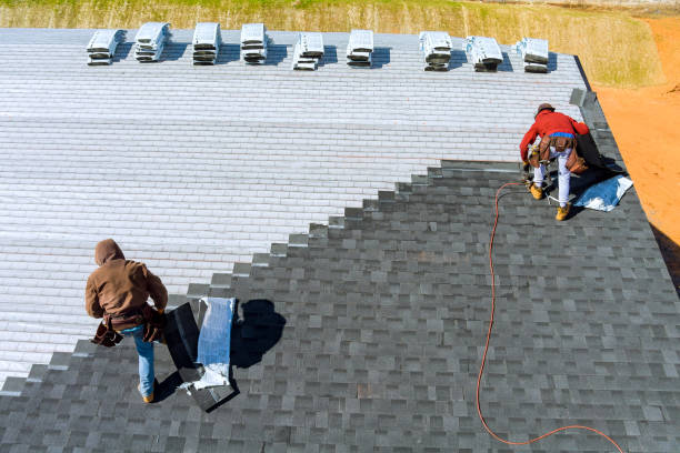 Roof Waterproofing Services in Ladonia, AL
