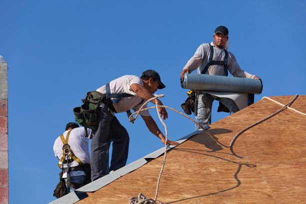 Best Residential Roof Replacement  in Ladonia, AL