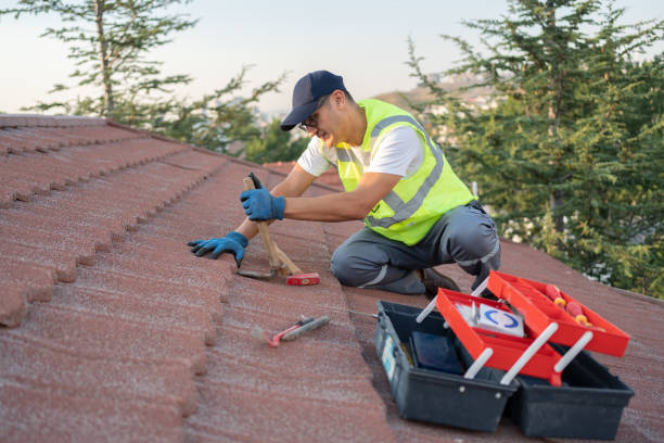 Best Residential Roofing Contractor  in Ladonia, AL