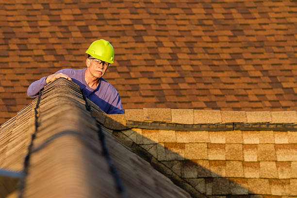 Best Storm Damage Roof Repair  in Ladonia, AL