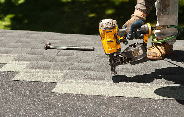 Best Roof Gutter Cleaning  in Ladonia, AL