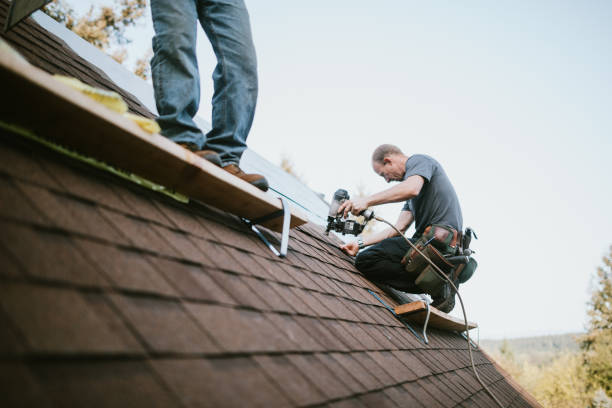 Best Gutter Installation and Roofing  in Ladonia, AL
