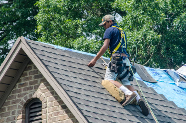 Professional Roofing Contractor in Ladonia, AL